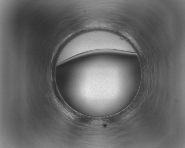 X0000075920399200609151109