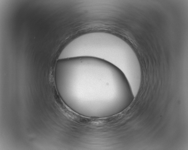 X0000075920411200609151109