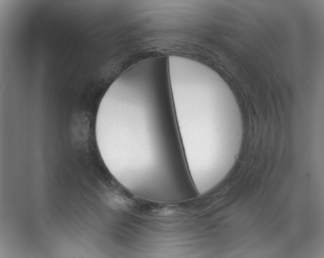 X0000075920412200609151109