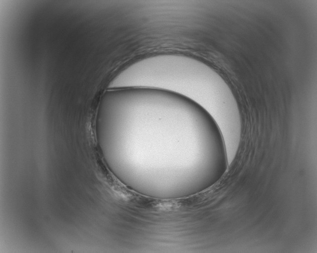X0000075920415200609151109