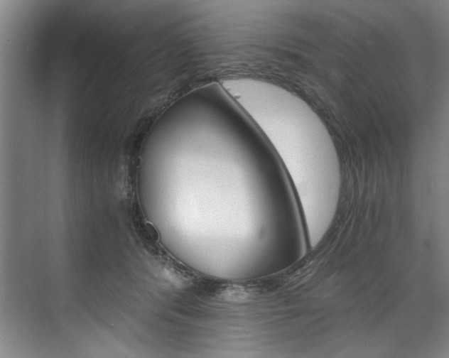 X0000075920416200609151109