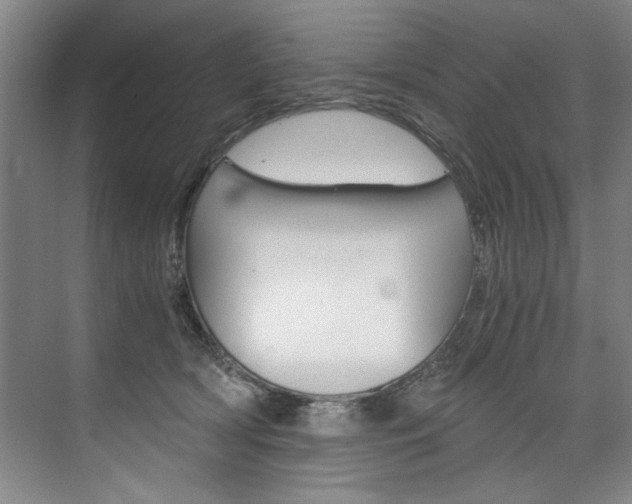 X0000075920418200609151109