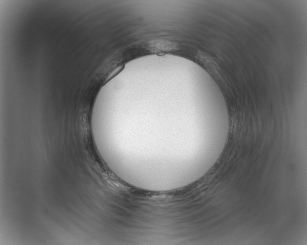 X0000075920426200609151109
