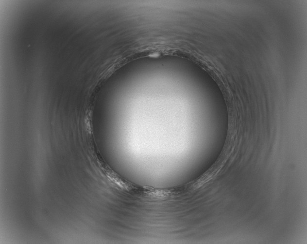 X0000075920432200609151109