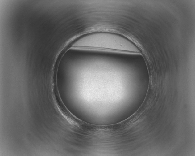 X0000075920438200609151108
