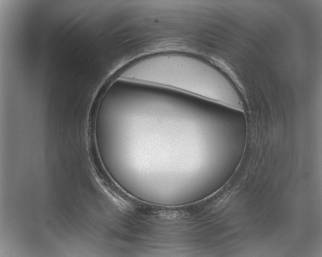 X0000075920439200609151108