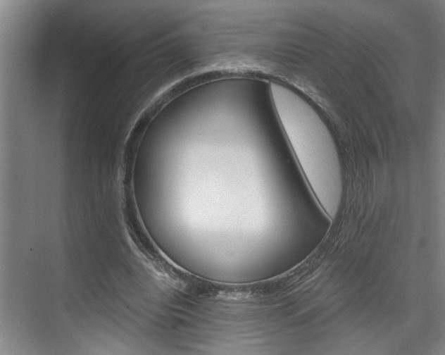 X0000075920440200609151108