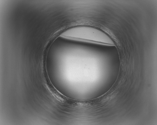 X0000075920442200609151108