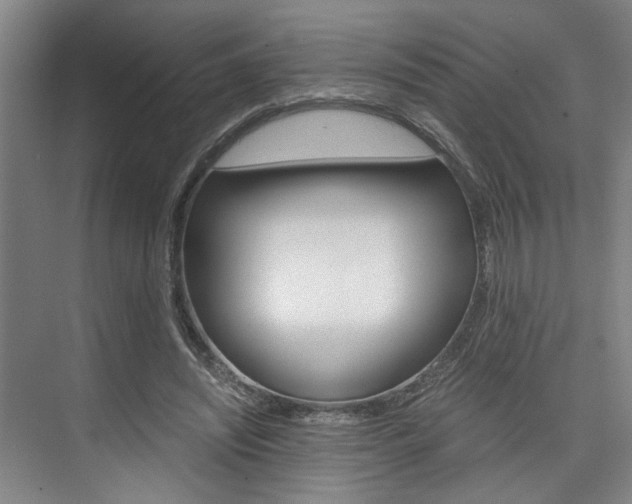 X0000075920444200609151108