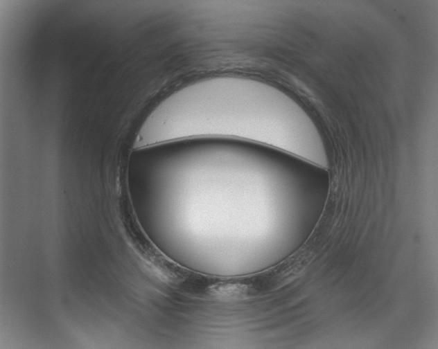 X0000075920452200609151108