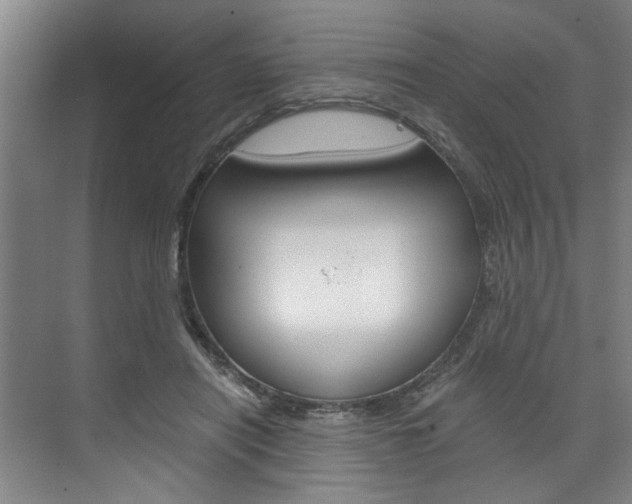 X0000075920454200609151108
