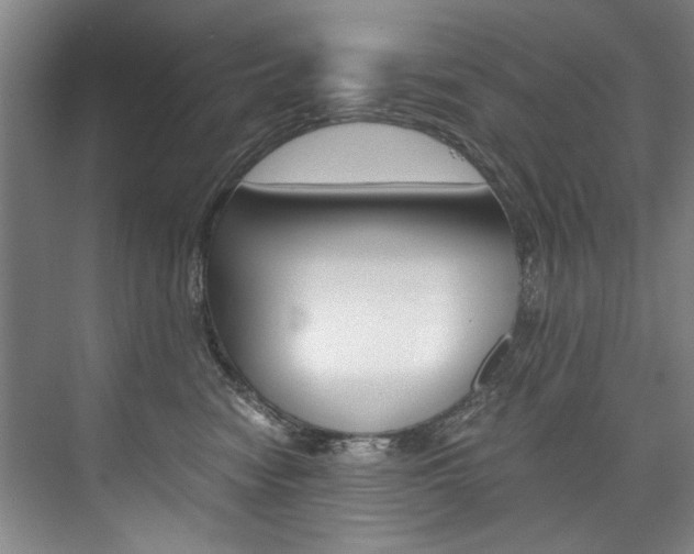 X0000075920474200609151108