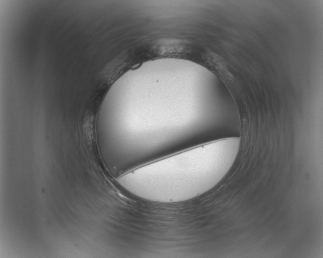X0000075920475200609151109