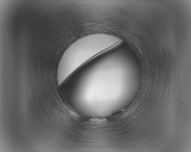 X0000075920480200609151109