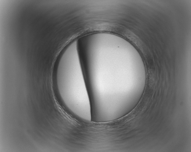 X0000075920482200609151108
