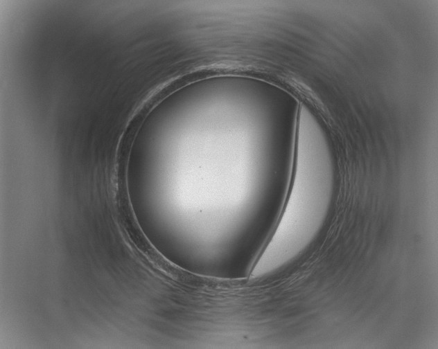 X0000075920484200609151108