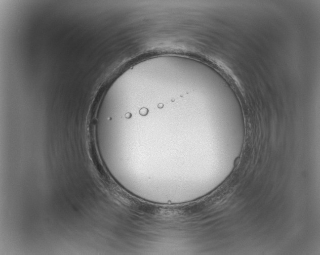 X0000075920487200609151108