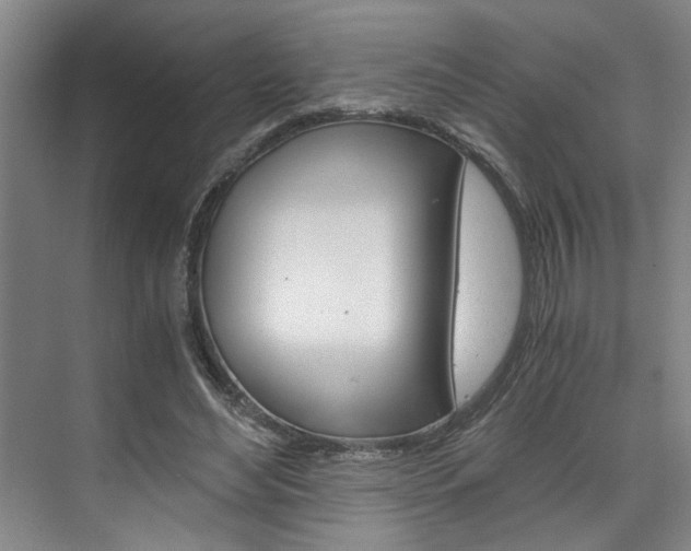 X0000075920492200609151108