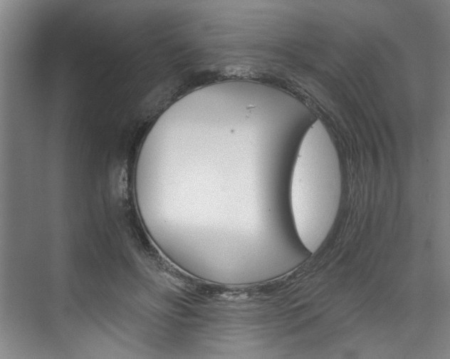 X0000075920502200609151107