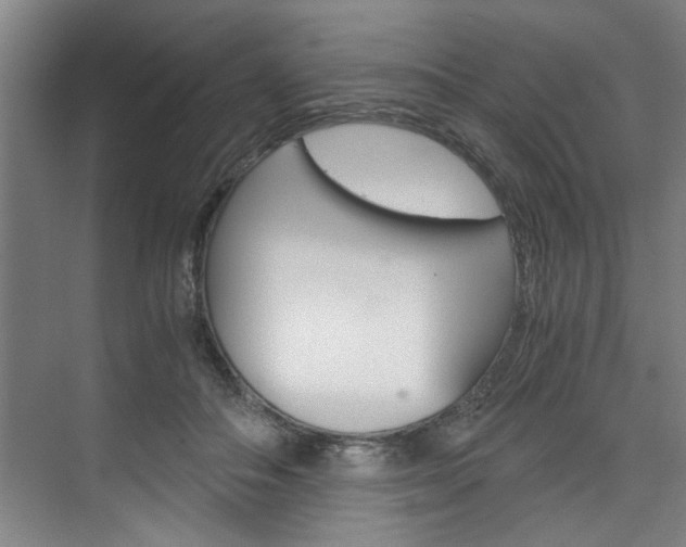 X0000075920506200609151107