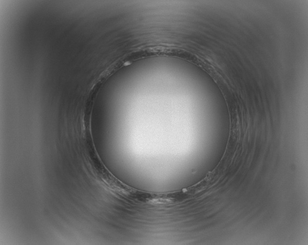 X0000075920508200609151107