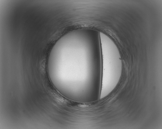 X0000075920509200609151107