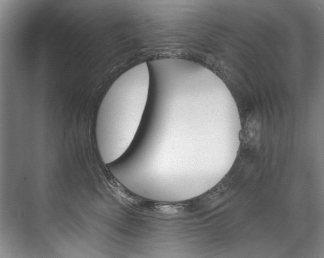 X0000075920522200609151107