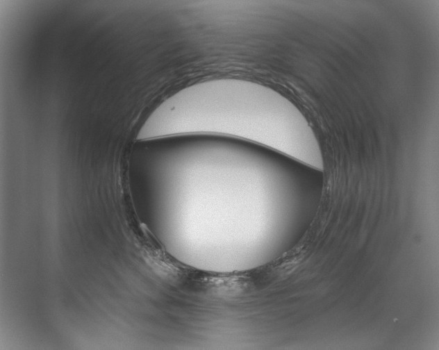 X0000075920524200609151107