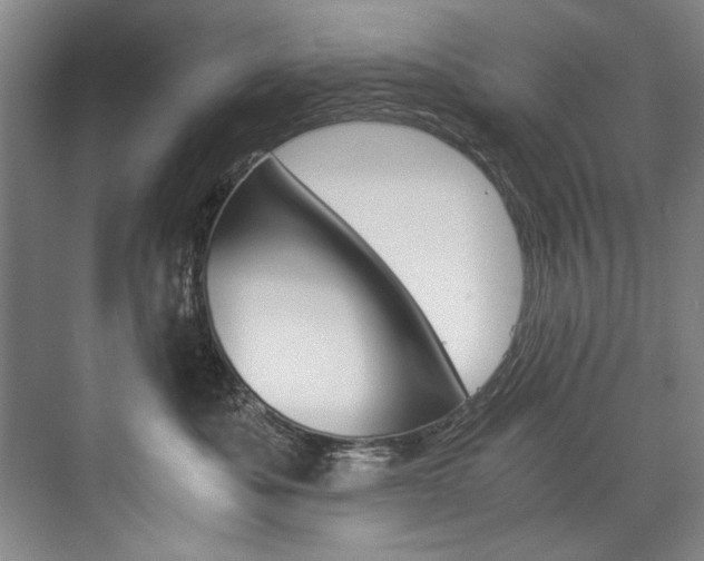 X0000075920525200609151107