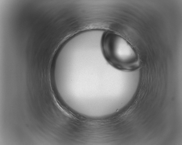 X0000075920530200609151106