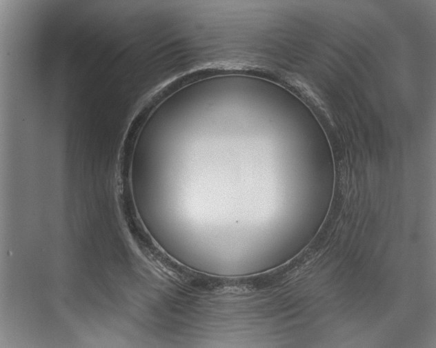 X0000075920536200609151106