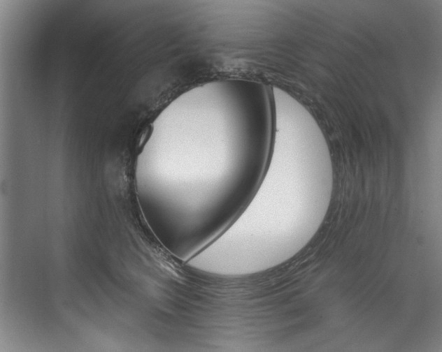 X0000075920566200609151107