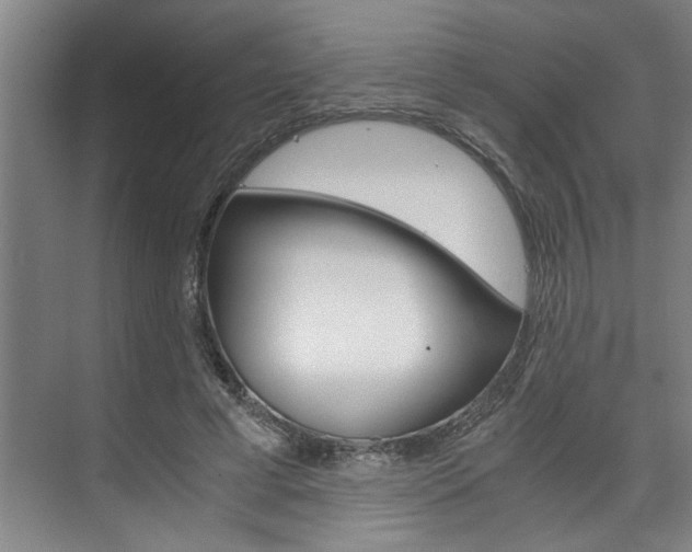 X0000075920593200609151106