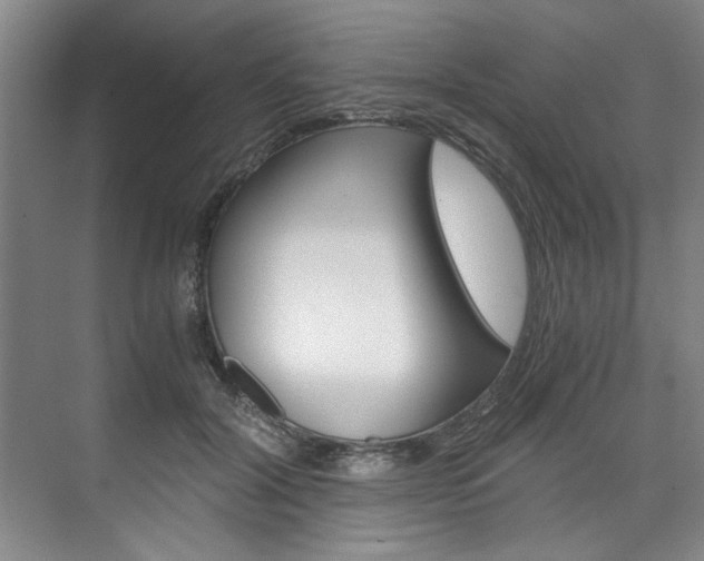 X0000075920604200609151106
