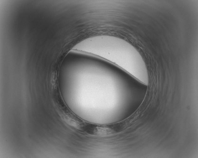 X0000075920605200609151106
