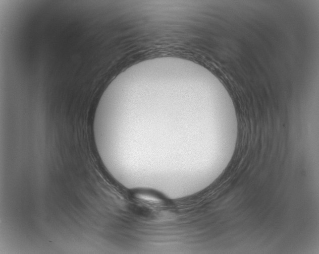 X0000075920613200609151106