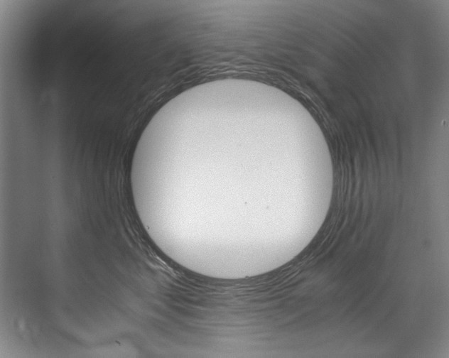 X0000075920621200609151105