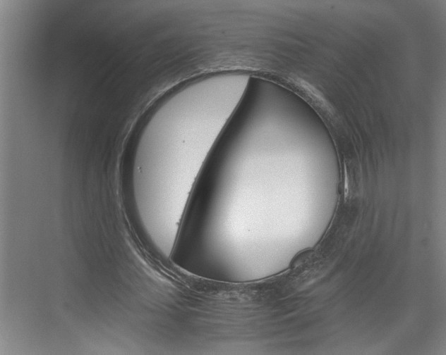 X0000075920627200609151105