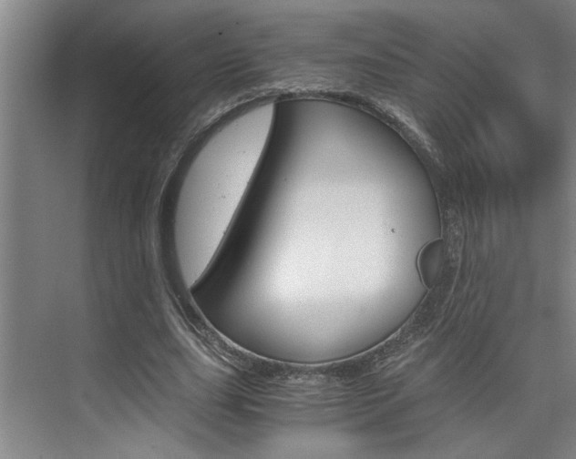 X0000075920631200609151105