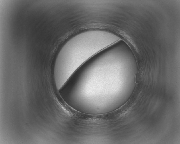 X0000075920633200609151105