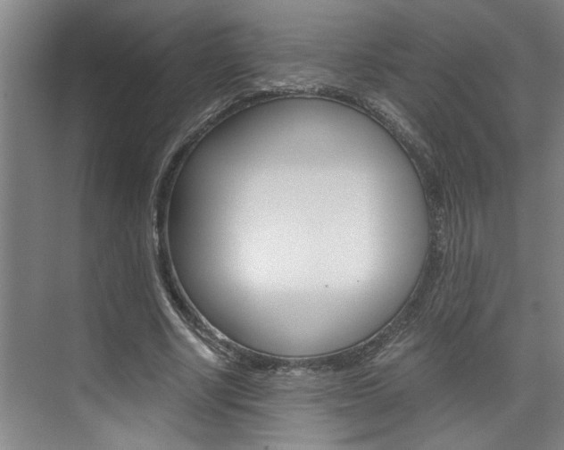 X0000075920634200609151105