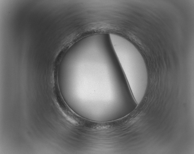 X0000075920638200609151105