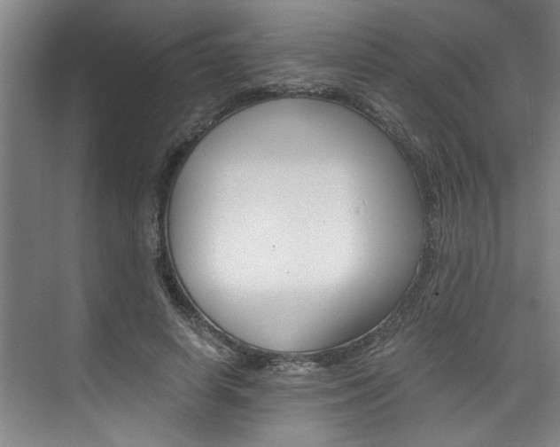 X0000075920642200609151105
