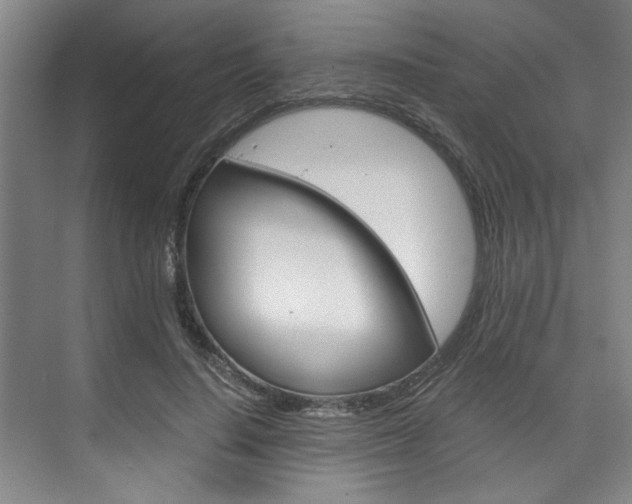 X0000075920644200609151105