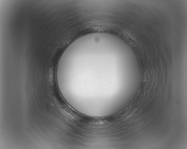 X0000075920646200609151105