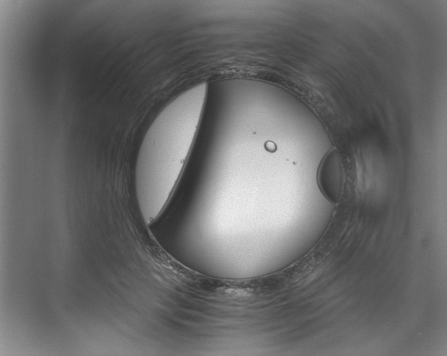 X0000075920649200609151105