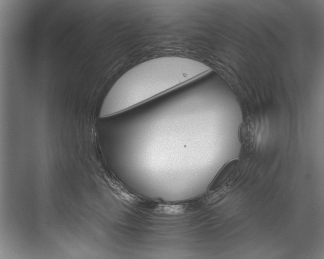 X0000075920665200609151105