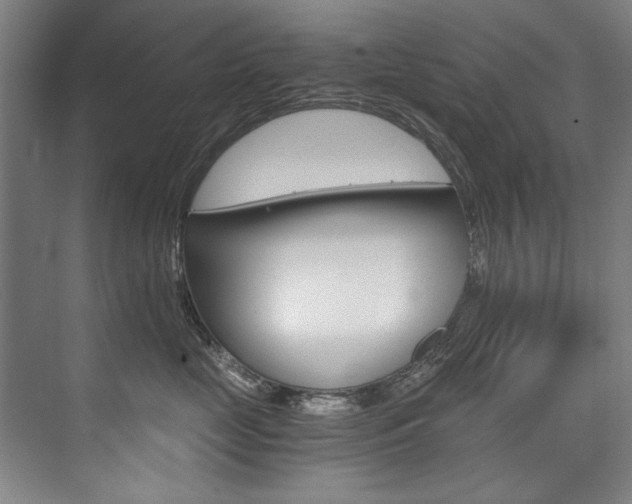 X0000075920669200609151105