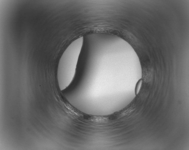 X0000075920670200609151105