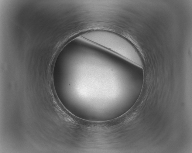 X0000075920673200609151105